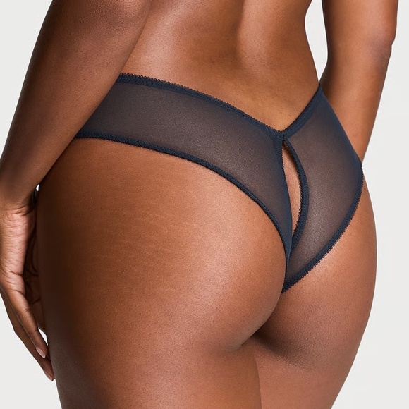 Victoria's Secret Mesh High-Leg Crotchless Cheeky Panty Dark Twilight Small NEW - Picture 3 of 7